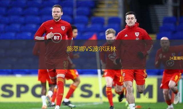 施萃娜VS波尔沃林